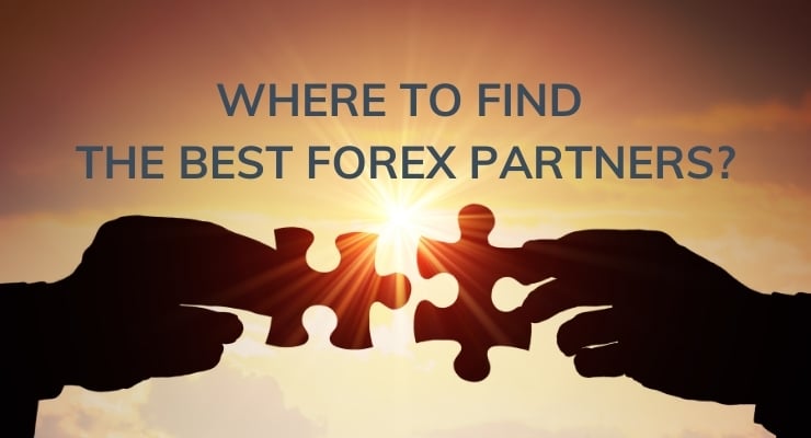 How and Where to Find the Best Forex Partners?
